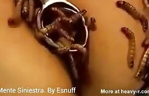 Phim khiêu dâm sở thú với cảnh quan hệ tình dục và cọ xát của động vật